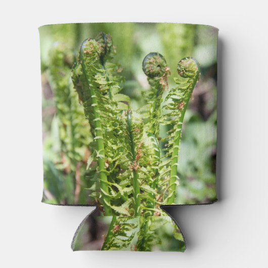 Ontwakende jonge varen in de tuin   blikjeskoeler (Achterkant)