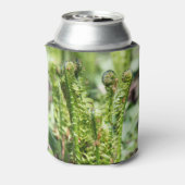 Ontwakende jonge varen in de tuin   blikjeskoeler (Blikje Achterkant)