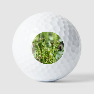 Ontwakende jonge varen in de tuin  golfballen
