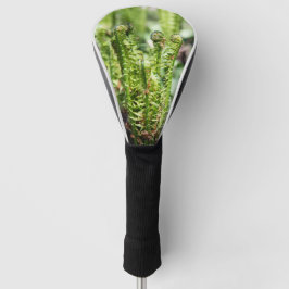 Ontwakende jonge varen in de tuin golfheadcover