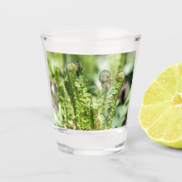 Ontwakende jonge varen in de tuin   shot glas