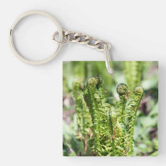 Ontwakende jonge varen in de tuin   sleutelhanger (voorkant)