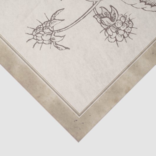  ontwatering van het  bodemvruchtendraf tissuepapier (Detail)