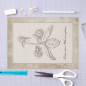  ontwatering van het  bodemvruchtendraf tissuepapier (Craft)