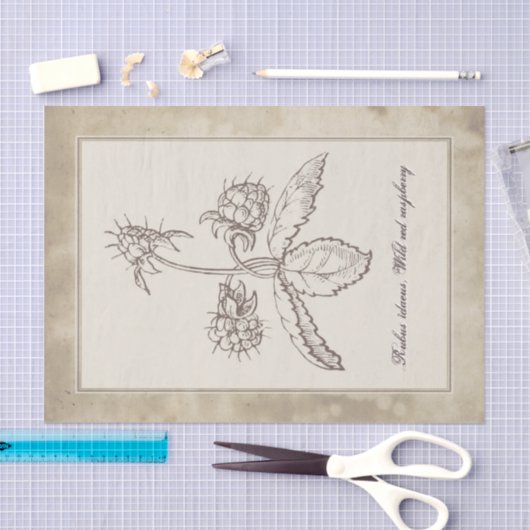 ontwatering van het bodemvruchtendraf tissuepapier (Craft)