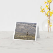 Ontwerp 1 van de Kaart van de Nota van de (Gele Bloem)