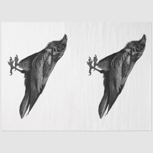 Ontwerp 2 van de gothic Enchantreeks Tissuepapier (Voorkant)