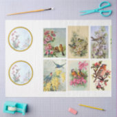 Ontwerp 2 van de wilde vogelreeks tissuepapier (Craft)