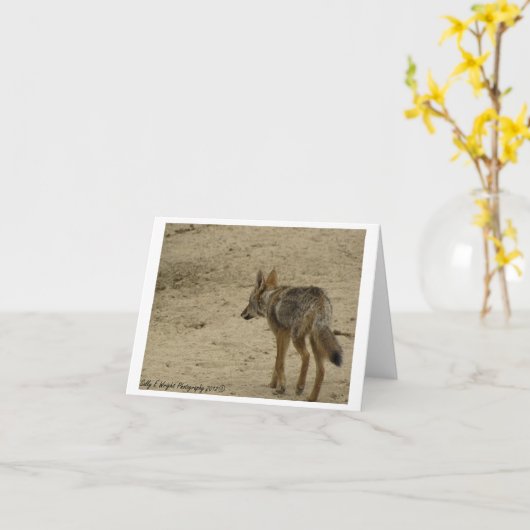 Ontwerp 3 van de Kaart van de Nota van de (Gele Bloem)