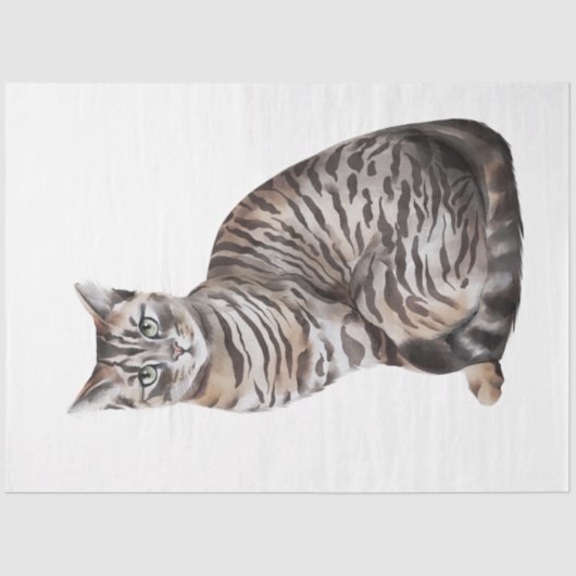 Ontwerp 6 van de Wilde Kattenreeks Tissuepapier (Voorkant)