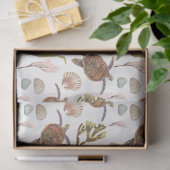 Ontwerp 7-weefselreeks voor een mariene levensseri tissuepapier (Geschenk)