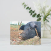 Ontwerp boerderij pingelen briefkaart (Staand voorkant)