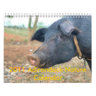 Ontwerp boerderij pingelen kalender