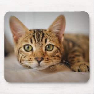 Ontwerp - Cute Kitten Muismat