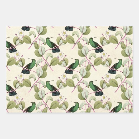 Ontwerp drie van de Humming Birds reeks Inpakpapier Vel (Voorkant)