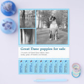 Ontwerp Flyer voor het Verkopen van Puppies (Enkel)