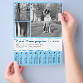 Ontwerp Flyer voor het Verkopen van Puppies (Hand)