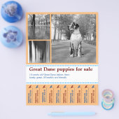 Ontwerp Flyer voor het Verkopen van Puppies (Enkel)