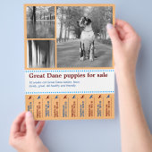 Ontwerp Flyer voor het Verkopen van Puppies (Hand)