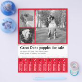 Ontwerp Flyer voor het Verkopen van Puppies (Enkel)