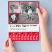 Ontwerp Flyer voor het Verkopen van Puppies (Hand)