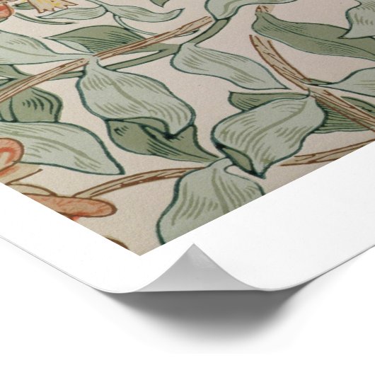 Ontwerp 'Honeysuckle II' Poster (Hoek)