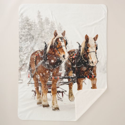 ONTWERP-HORSES IN DE SNEE SHERPA DEKEN (Voorkant)