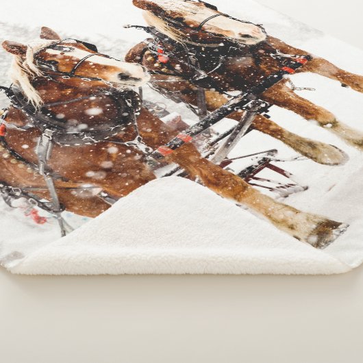 ONTWERP-HORSES IN DE SNEE SHERPA DEKEN (3/4)