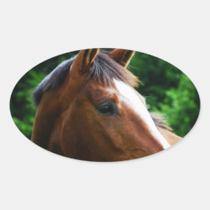 Ontwerp je eigen Custom Photo Stickers Oval Shape