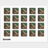 Ontwerp je eigen Custom Photo Stickers Square Shap (Vel)