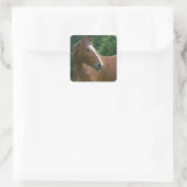 Ontwerp je eigen Custom Photo Stickers Square Shap (Tas)