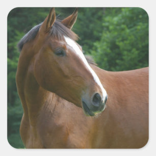 Ontwerp je eigen Custom Photo Stickers Square Shap