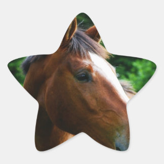 Ontwerp je eigen Custom Photo Stickers Star Shape