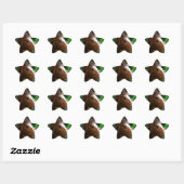Ontwerp je eigen Custom Photo Stickers Star Shape (Vel)