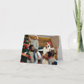 Ontwerp Je Eigen Enkele Foto Kaart (Voorkant)