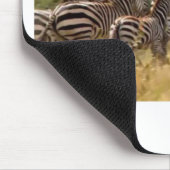 Ontwerp je eigen prachtige zebra migratie Mara Muismat (Hoek)