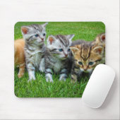Ontwerp - Kute kittens Muismat (Met muis)