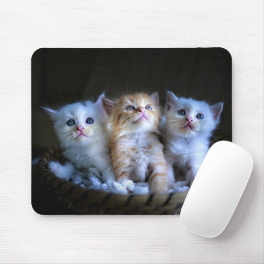 Ontwerp - Kute Kittens Muismat (Met muis)