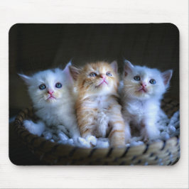 Ontwerp - Kute Kittens Muismat
