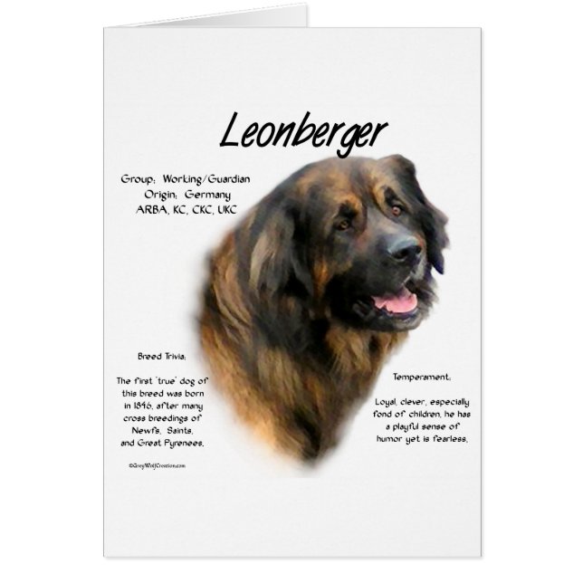 Ontwerp Leonberger Geschiedenis (Voorkant)