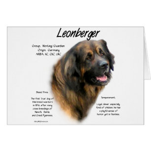 Ontwerp Leonberger Geschiedenis