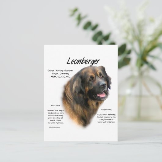 Ontwerp Leonberger Geschiedenis Briefkaart (Staand voorkant)