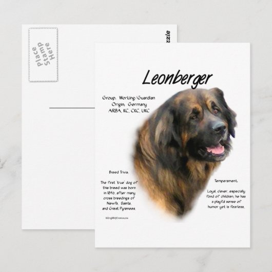 Ontwerp Leonberger Geschiedenis Briefkaart (Voorkant / Achterkant)