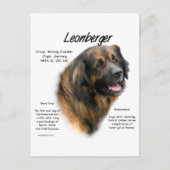 Ontwerp Leonberger Geschiedenis Briefkaart (Voorkant)