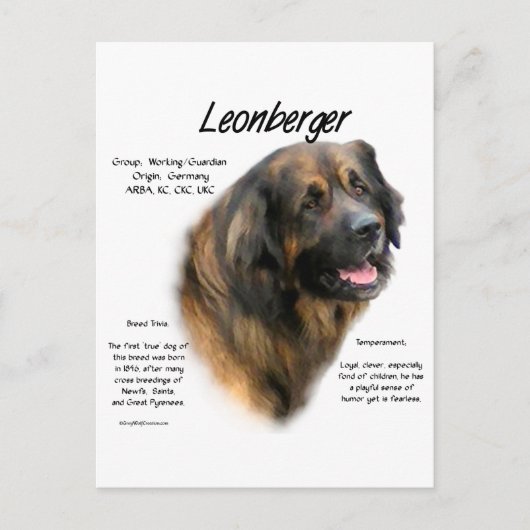 Ontwerp Leonberger Geschiedenis Briefkaart (Voorkant)
