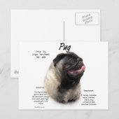 Ontwerp met puggeschiedenis briefkaart (Voorkant / Achterkant)