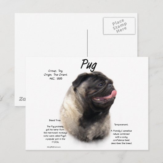 Ontwerp met puggeschiedenis briefkaart (Voorkant / Achterkant)
