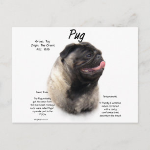 Ontwerp met puggeschiedenis briefkaart