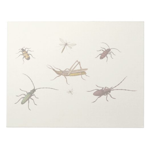  ontwerp met zeven verschillende insecten notitieblok (Voorkant)