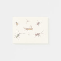  ontwerp met zeven verschillende insecten